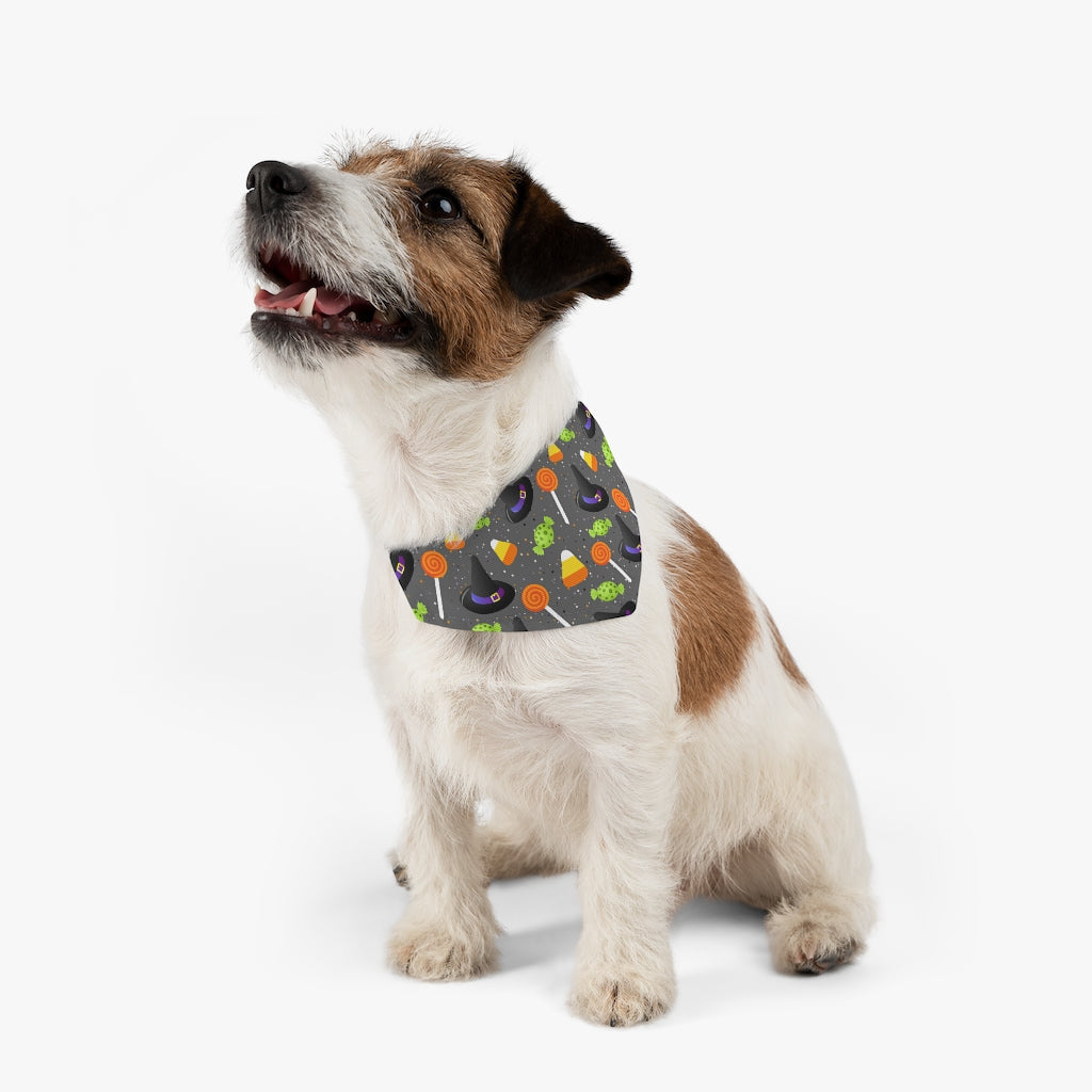 Halloween Pet Bandana Collar, Spiderweb Pet Bandana, Spooky Pet Collar, Dog Costume Pets