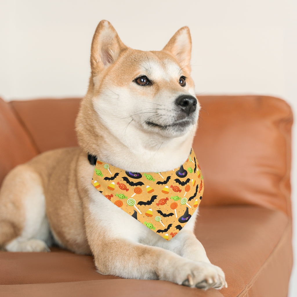 Halloween Pet Bandana Collar, Spiderweb Pet Bandana, Spooky Pet Collar, Pet trick or treat Pets