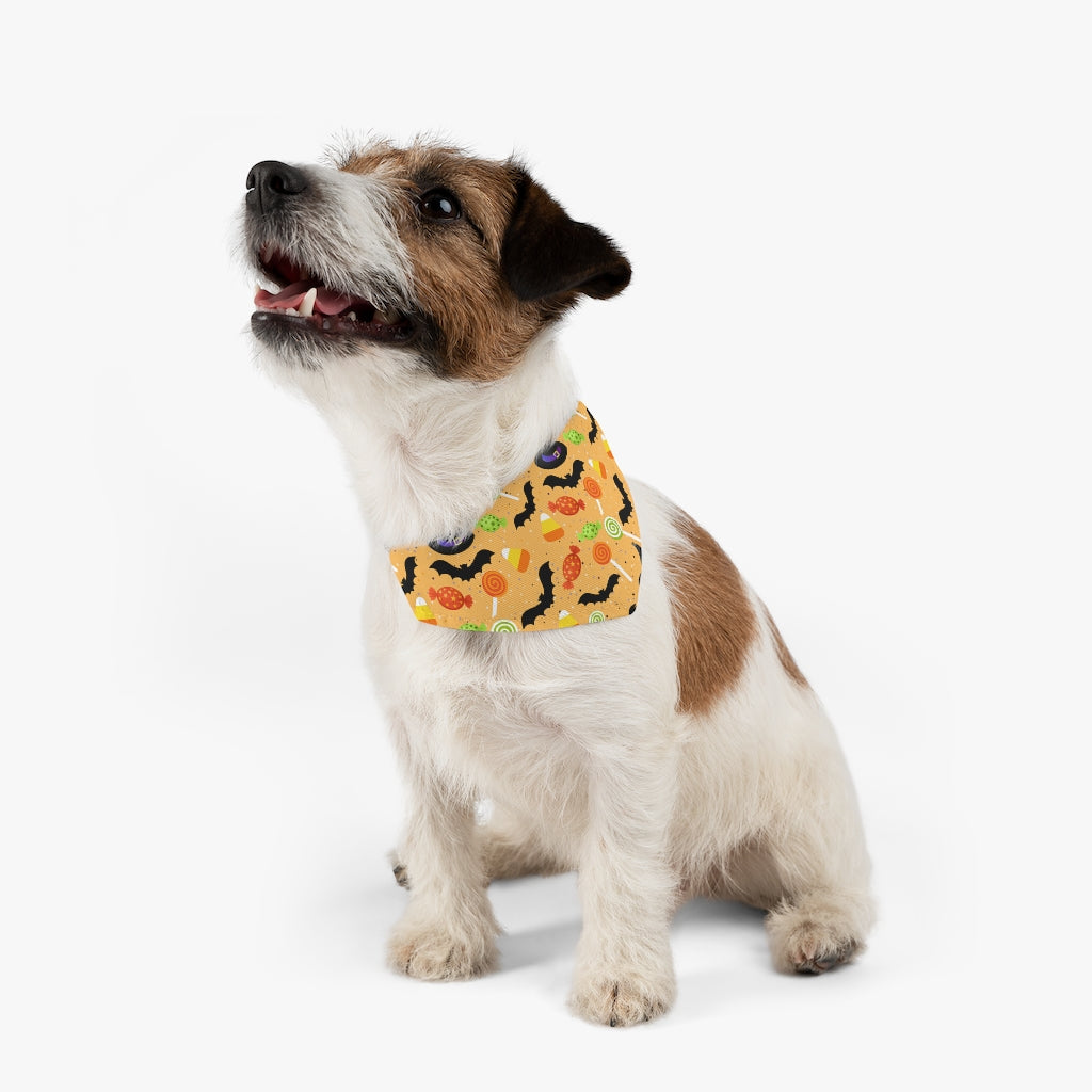 Halloween Pet Bandana Collar, Spiderweb Pet Bandana, Spooky Pet Collar, Pet trick or treat Pets